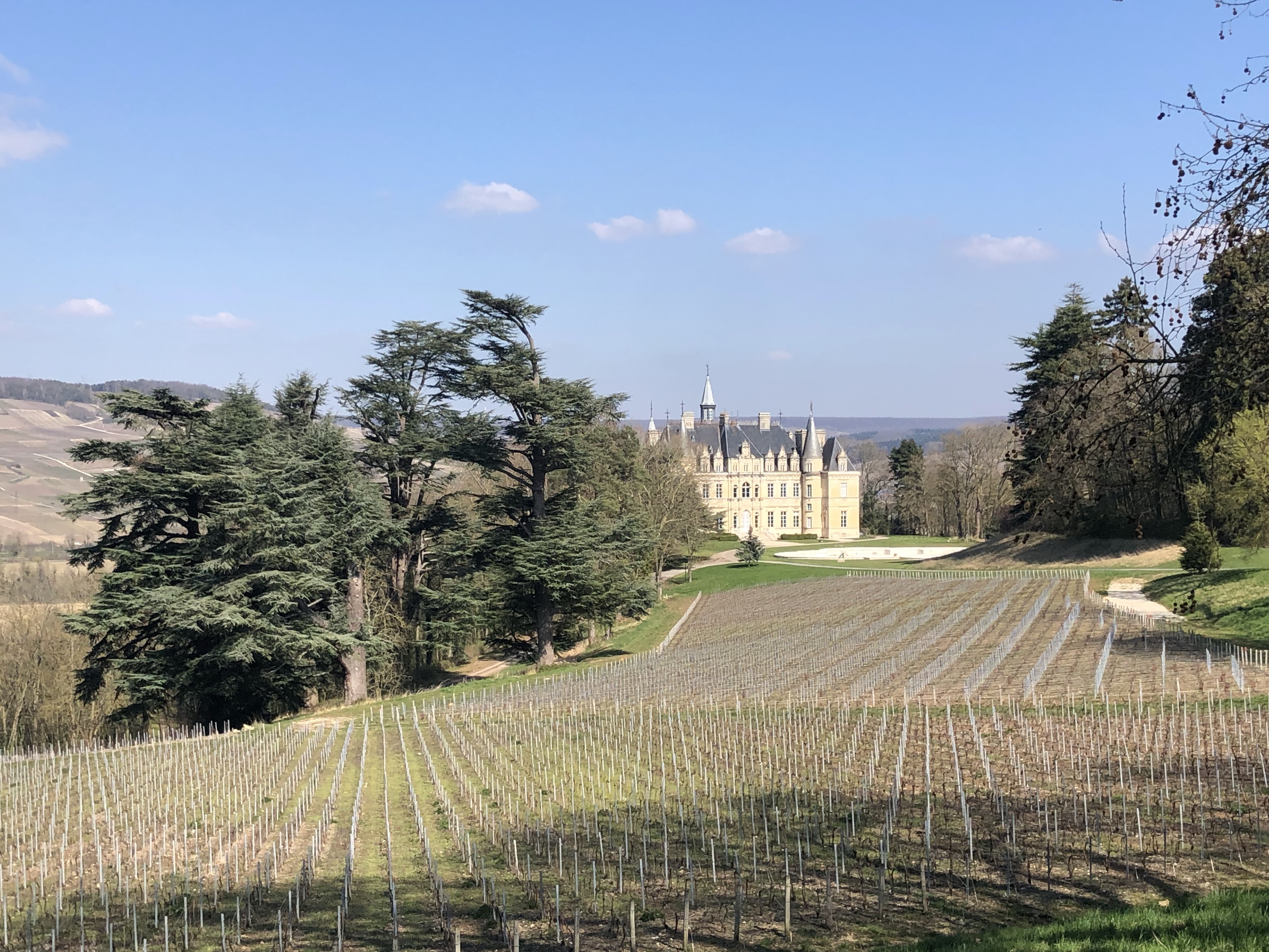 Photo n° 1 de l'avis de Kevin.t fait le 30/03/2019 à 08:35