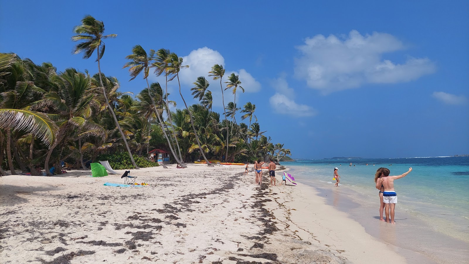 Anse Michel beach photo #8