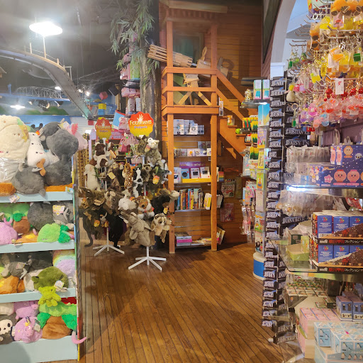 Toy Store «G. Willikers Toy Emporium», reviews and photos, 1113 Front St, Sacramento, CA 95814, USA