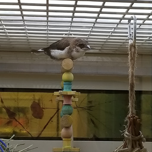 Pet Supply Store «PetSmart», reviews and photos, 625 Baltimore Blvd, Westminster, MD 21157, USA