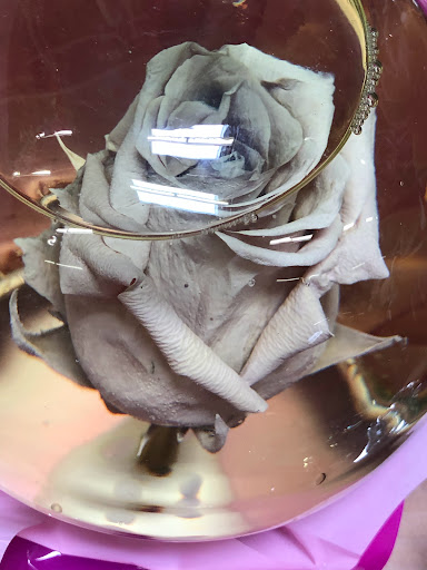 Home Improvement Store «The Home Depot», reviews and photos, 1330 W Baseline Rd, Tempe, AZ 85283, USA