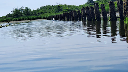 Park «Marine Park», reviews and photos, Fillmore Ave, Brooklyn, NY Brooklyn, USA