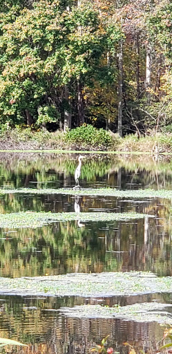 Public Golf Course «Newport News Golf Club at Deer Run», reviews and photos, 901 Clubhouse Way, Newport News, VA 23608, USA