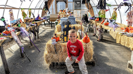 Produce Market «Bolton Orchards», reviews and photos, 125 Still River Rd, Bolton, MA 01740, USA