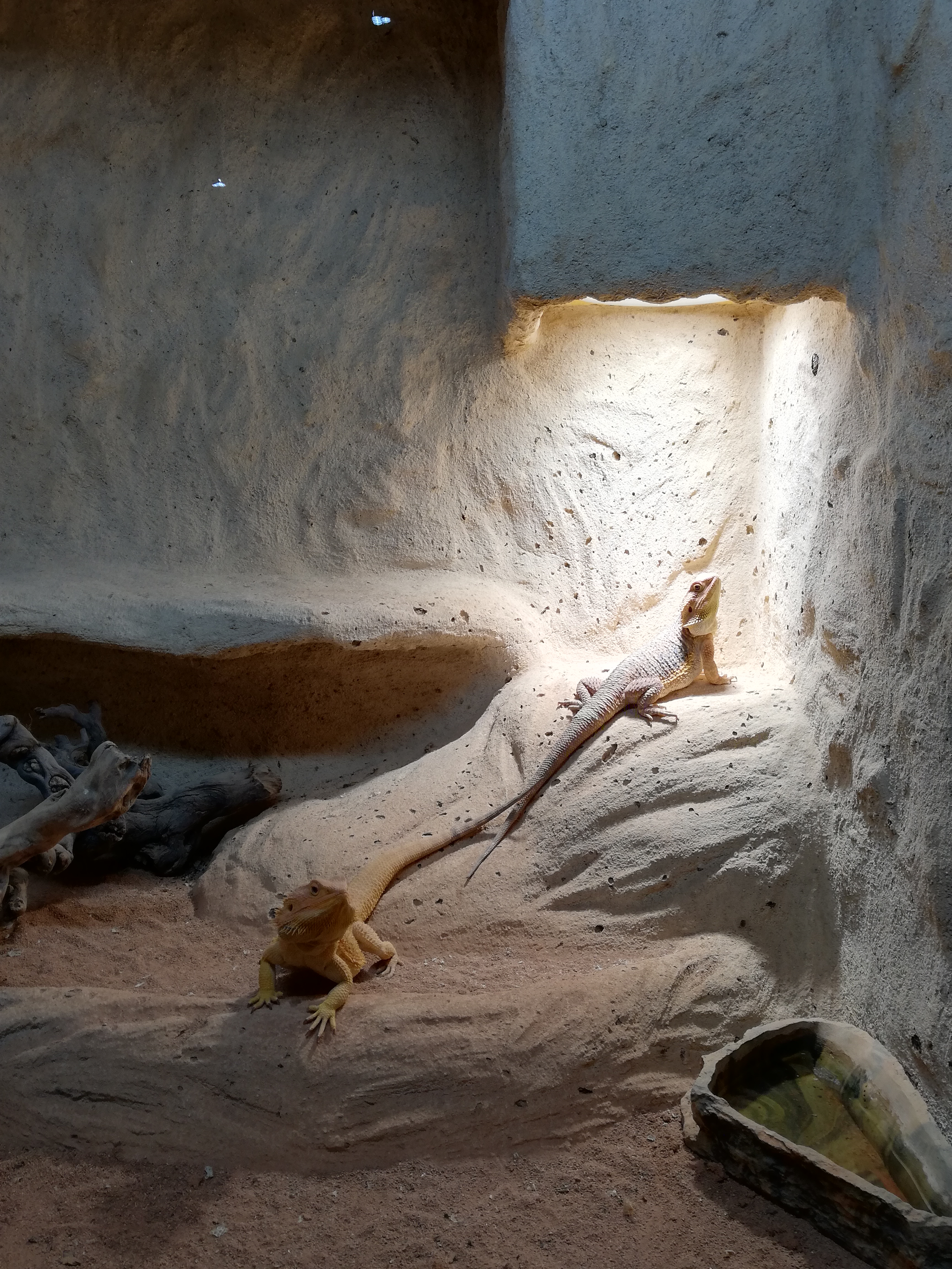 Photo n° 3 de l'avis de Jo.e fait le 05/07/2020 à 21:23