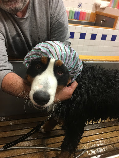 Pet Store «The Pet Works», reviews and photos, 240 14th St, Astoria, OR 97103, USA