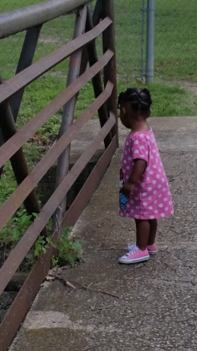 Recreation Center «Fruitdale Recreation Center», reviews and photos, 4408 Vandervort Dr, Dallas, TX 75216, USA