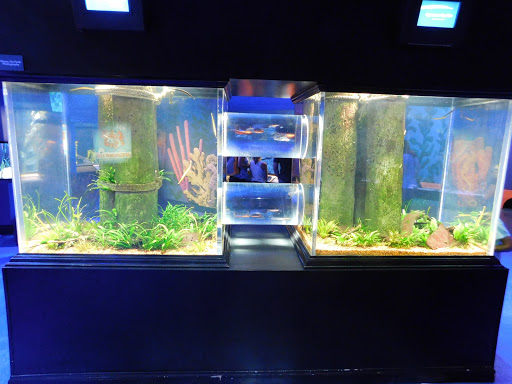 Shopping Mall «Newport on the Levee», reviews and photos, 1 Levee Way, Newport, KY 41071, USA