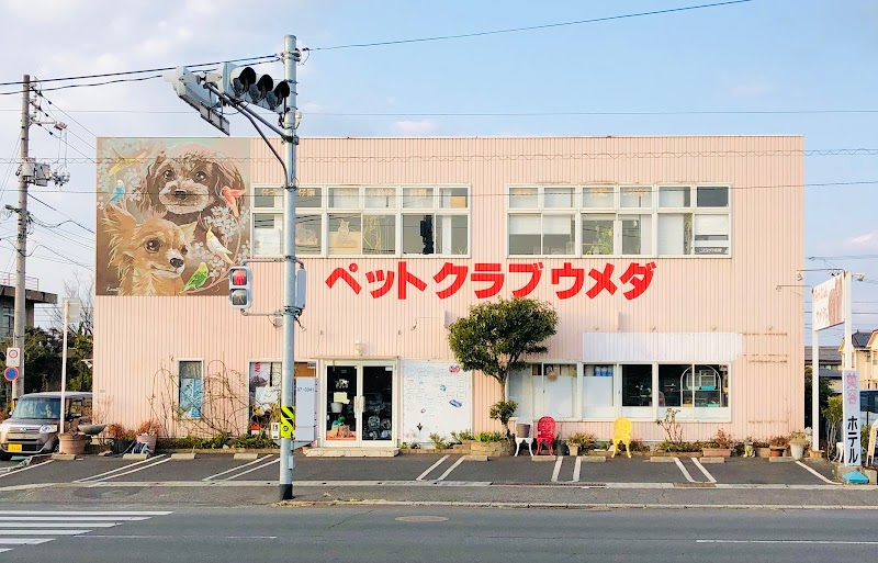 ペットショップ ウメダ 福山市新涯店 子犬と子猫の専門店