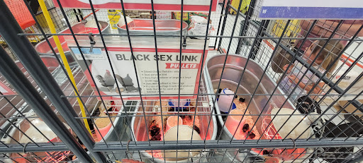 Home Improvement Store «Tractor Supply Co.», reviews and photos, 2423 N Lebanon St, Lebanon, IN 46052, USA