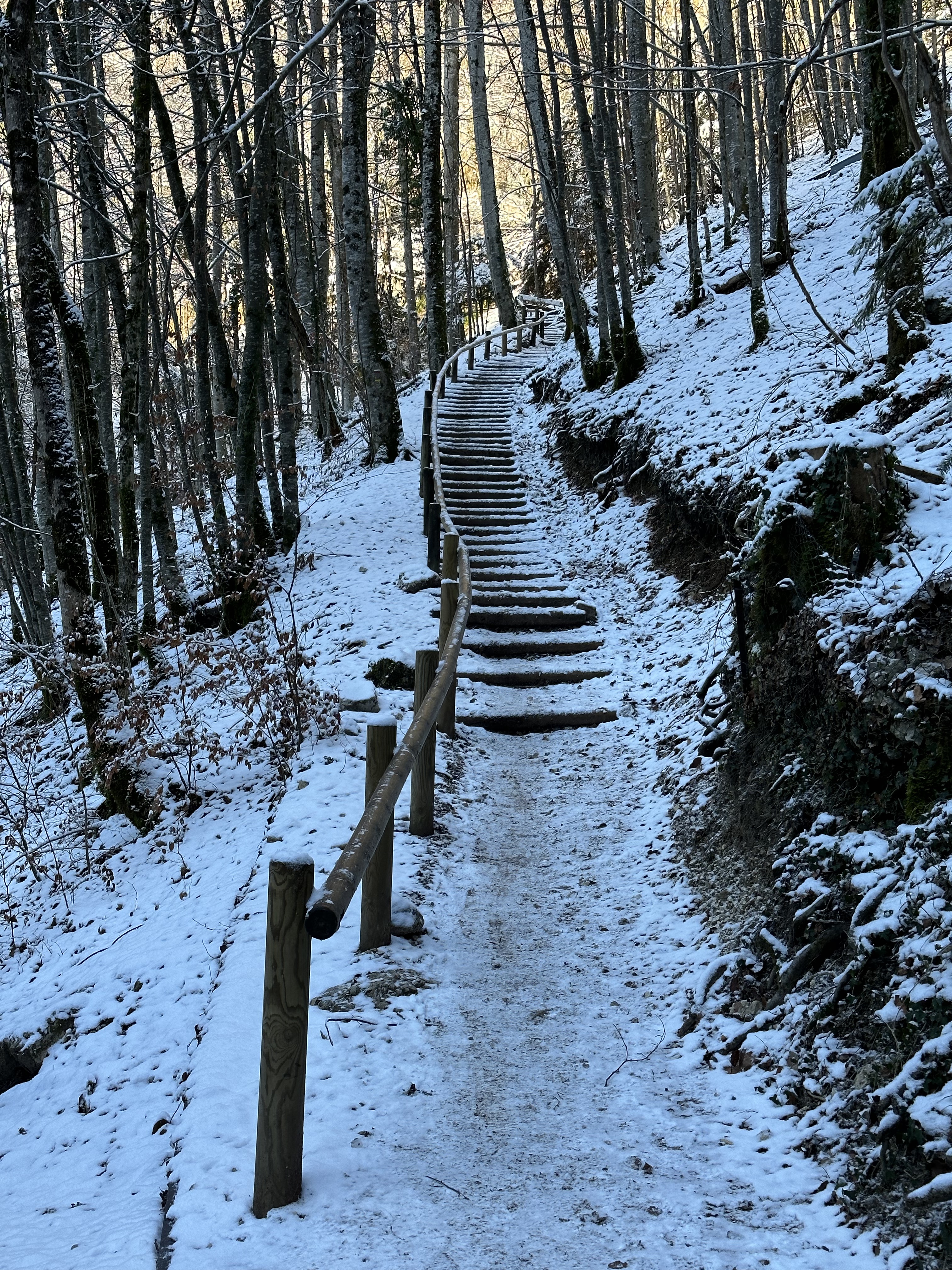 Photo n° 3 de l'avis de Eric. fait le 21/01/2023 à 16:56