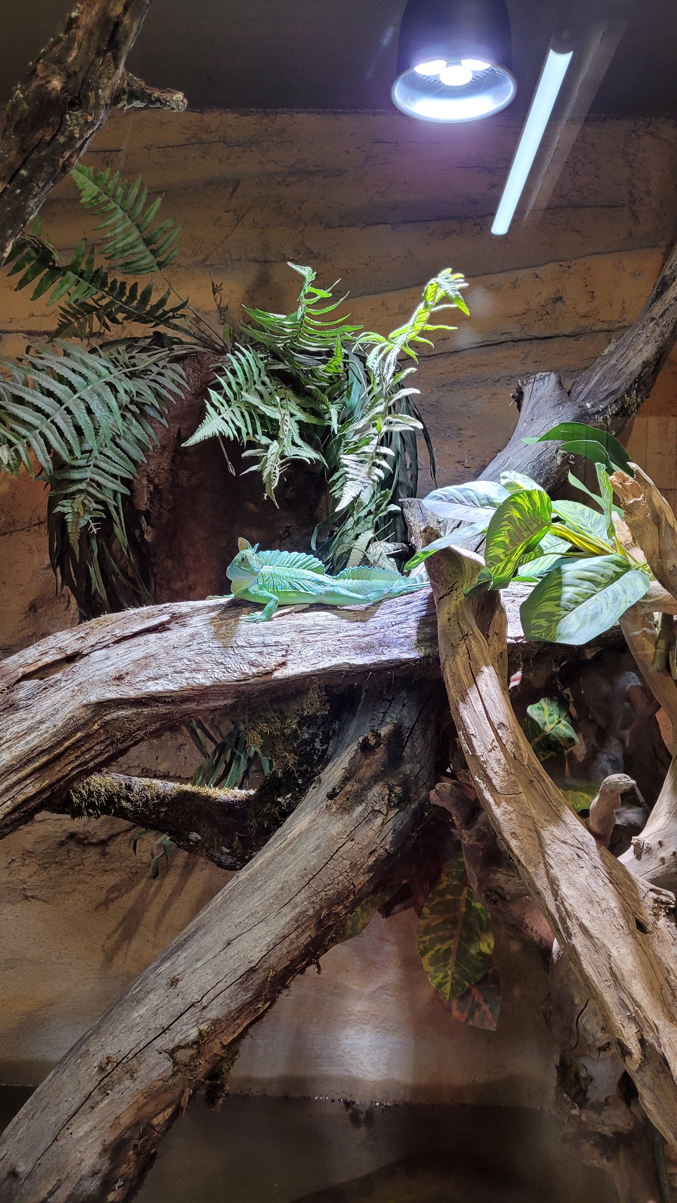 Photo n° 3 de l'avis de Guenaelle.l fait le 12/08/2022 à 06:36