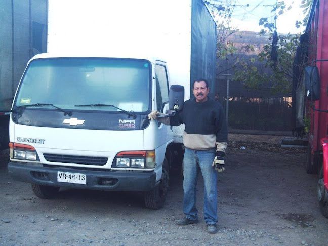 Opinii despre Vivero Colina în Colina - Centro de jardinería