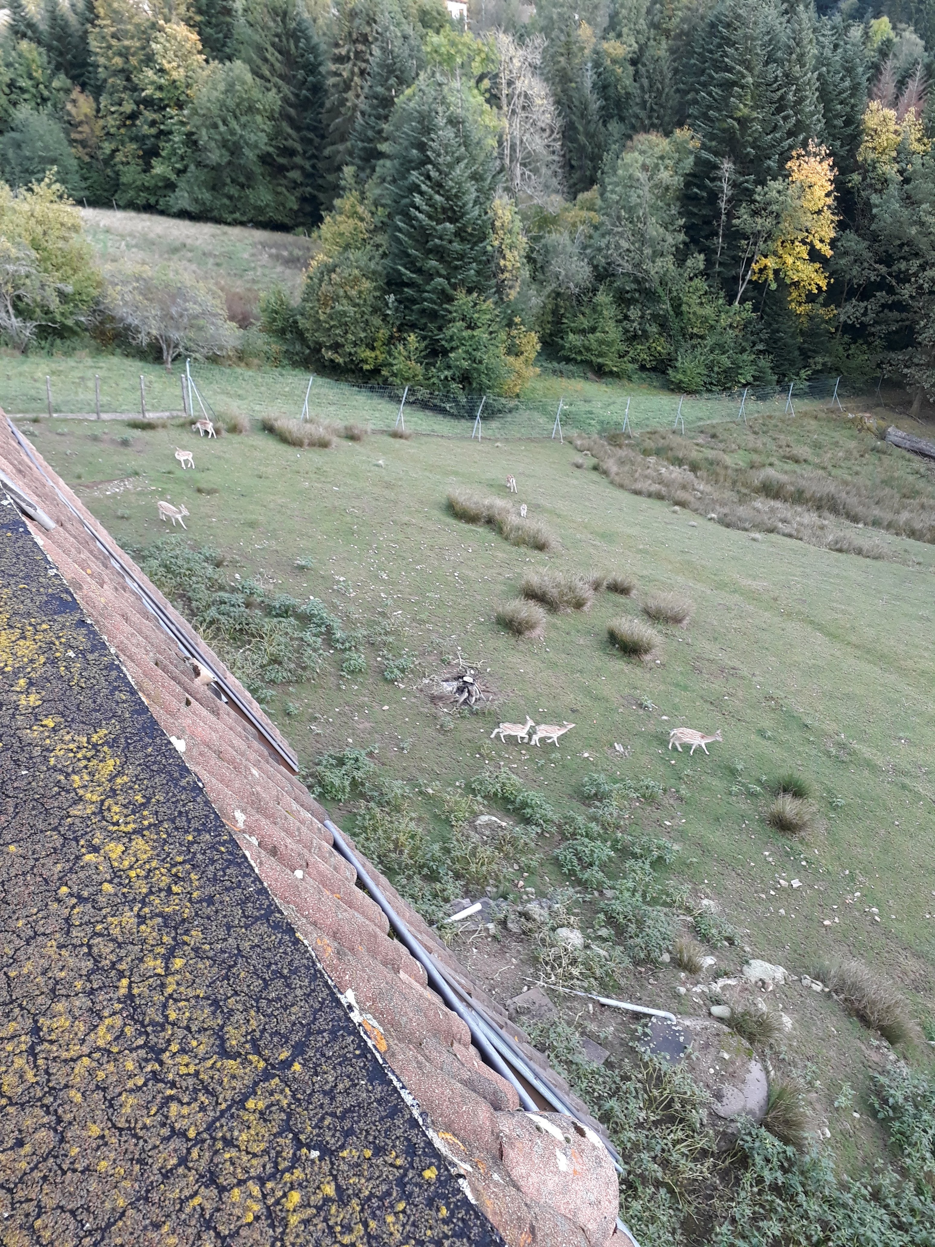 Photo n° 1 de l'avis de Dominique.r fait le 13/10/2019 à 18:01