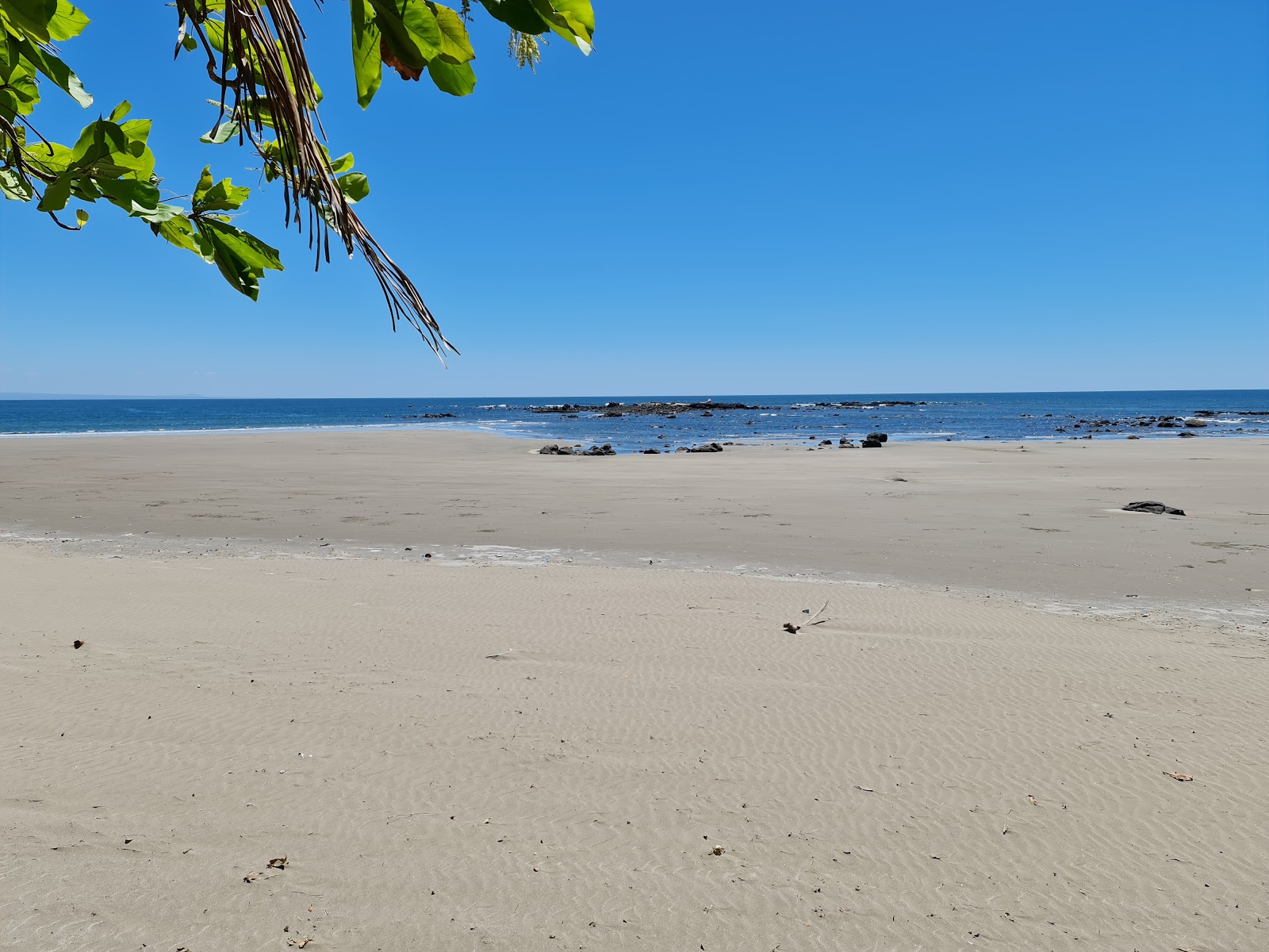 Zdjęcie Los Caracoles beach z proste i długie