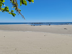 Zdjęcie Los Caracoles beach z proste i długie