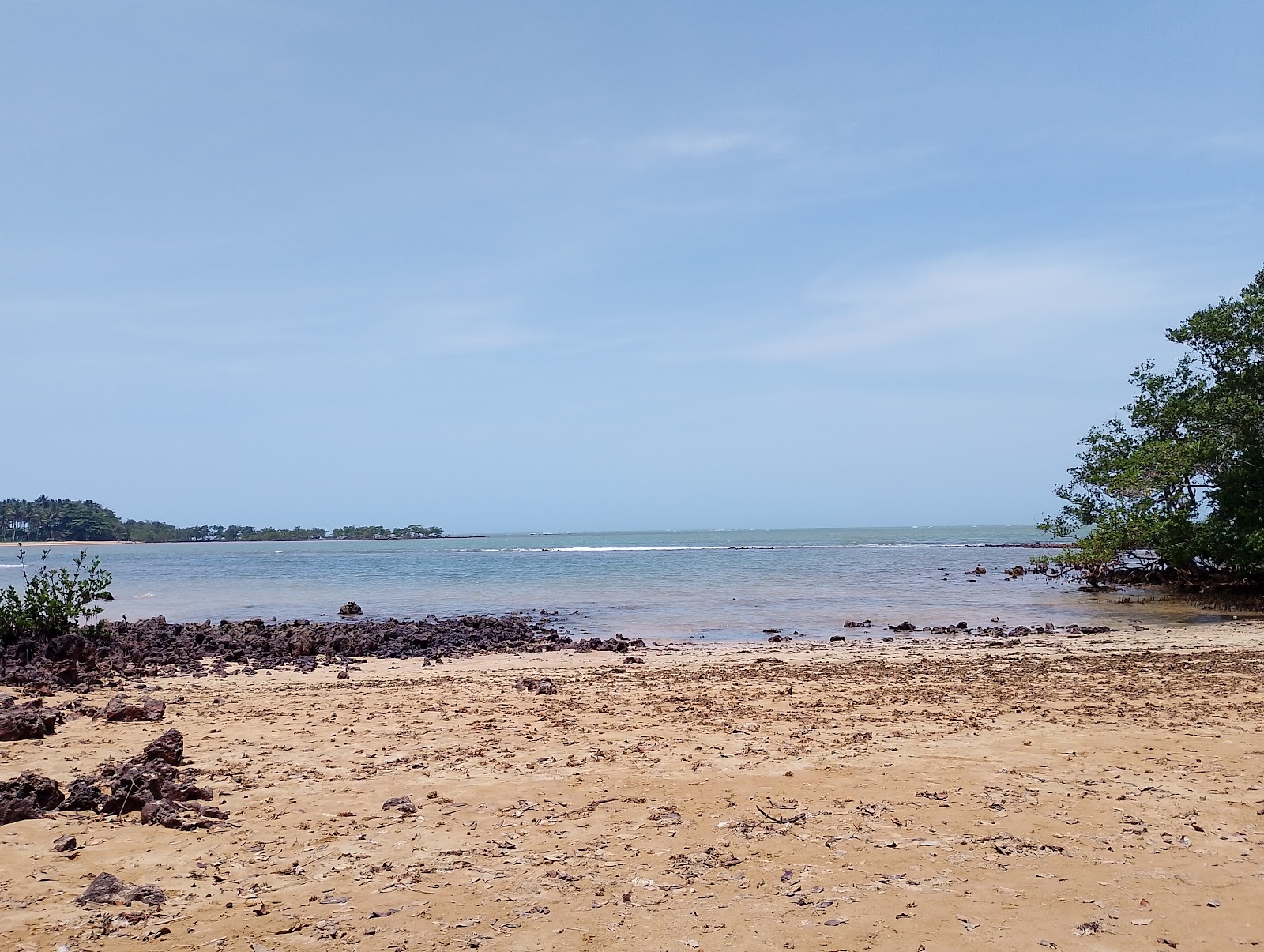 Praia da Baleia'in fotoğrafı doğal alan içinde bulunmaktadır