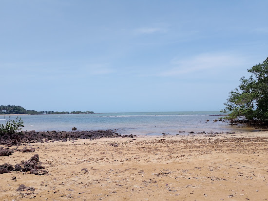 Praia da Baleia