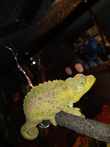 Pet Supply Store «Petco Animal Supplies», reviews and photos, 597 Hebron Rd #2, Heath, OH 43056, USA