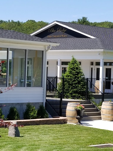 Vineyard «Blue Ridge Estate Vineyard & Winery», reviews and photos, 239 Blue Ridge Rd, Saylorsburg, PA 18353, USA