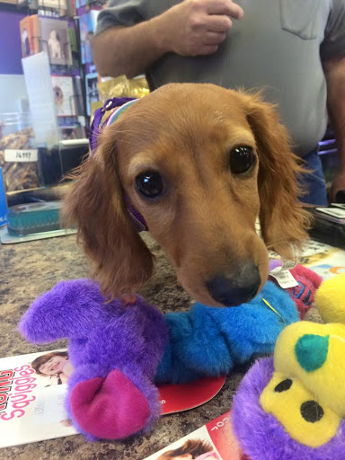 Pet Store «Pets of Portage», reviews and photos, 2219 W Wisconsin St, Portage, WI 53901, USA