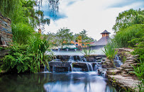 Expressions & Beyond Photography - Photo 3 - Car repair in , Trenton