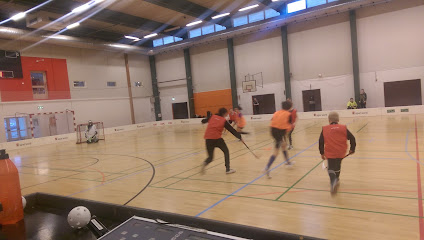 Aalborg Flyers Floorball Club
