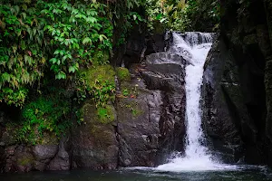 Cascade Absalon image