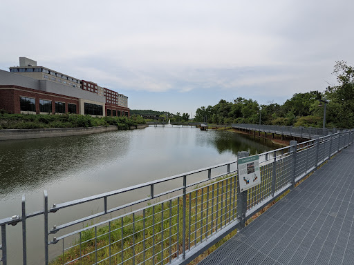 Hotel «Coralville Marriott Hotel & Conference Center», reviews and photos, 300 E 9th St, Coralville, IA 52241, USA