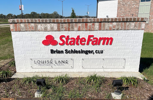 Insurance Agency «Brian Schlesinger - State Farm Insurance Agent», reviews and photos
