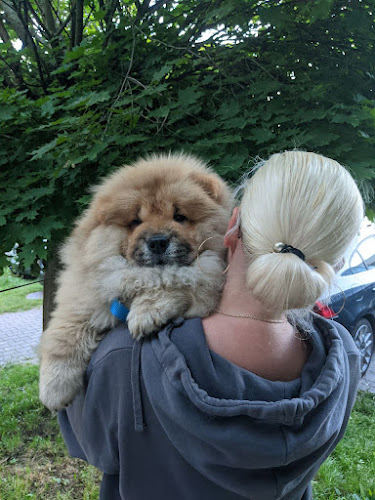 Comentarii opinii despre Gabinet weterynaryjny OD SERCA