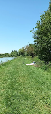 Étang de Doussay à Doussay