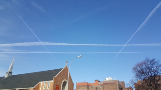 Park «Virginia Park», reviews and photos, 1878 Cross Bronx Expy, Bronx, NY 10472, USA