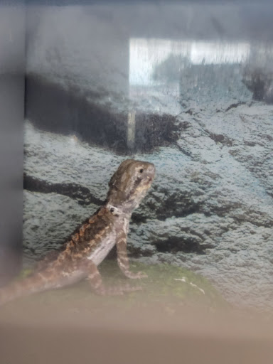 Pet Supply Store «Petco Animal Supplies», reviews and photos, 5925 US-6, Portage, IN 46368, USA