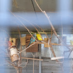 Photo n°8 de l'avis de Peter.a fait le 11/09/2023 à 17:00 sur le  Hotel Carlton à Jesolo