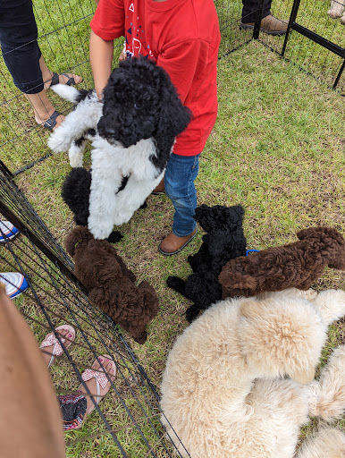 Shopping Mall «Lake City Mall», reviews and photos, 2469 W US Hwy 90, Lake City, FL 32055, USA