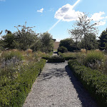Photo n°1 de l'avis de Hägar.e fait le 01/09/2020 à 18:08 sur le  PalmenhausCafé à Altenkrempe