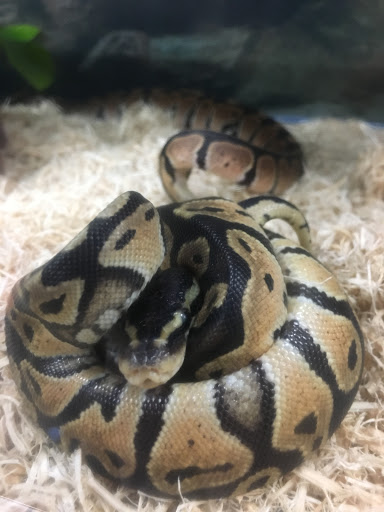 Pet Supply Store «Petco Animal Supplies», reviews and photos, 12641-310 Ocean Gateway, Ocean City, MD 21842, USA