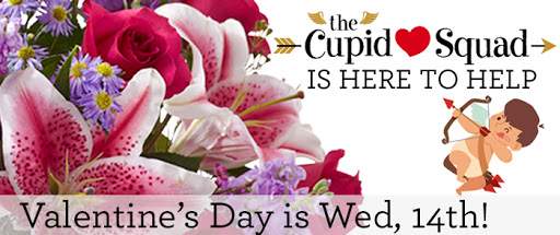 Florist «1-800-Flowers | Flowerama Windsor Heights», reviews and photos, 7301 University Ave, Windsor Heights, IA 50324, USA