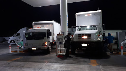 FLETES Y MUDANZAS DE GUERRERO en Guerrero