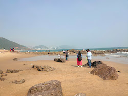 Tenneti Park Beach'in fotoğrafı düz bir kıyı şeridi ile birlikte