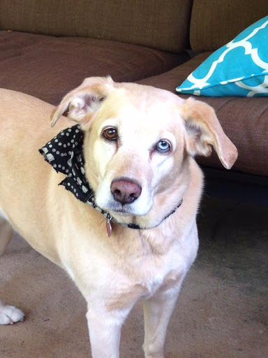 900 Mansell Rd #19, Roswell, GA 30076, USA