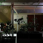 Photo n°1 de l'avis de Fabio.o fait le 14/09/2019 à 18:39 sur le  Verdechiaro à Palermo