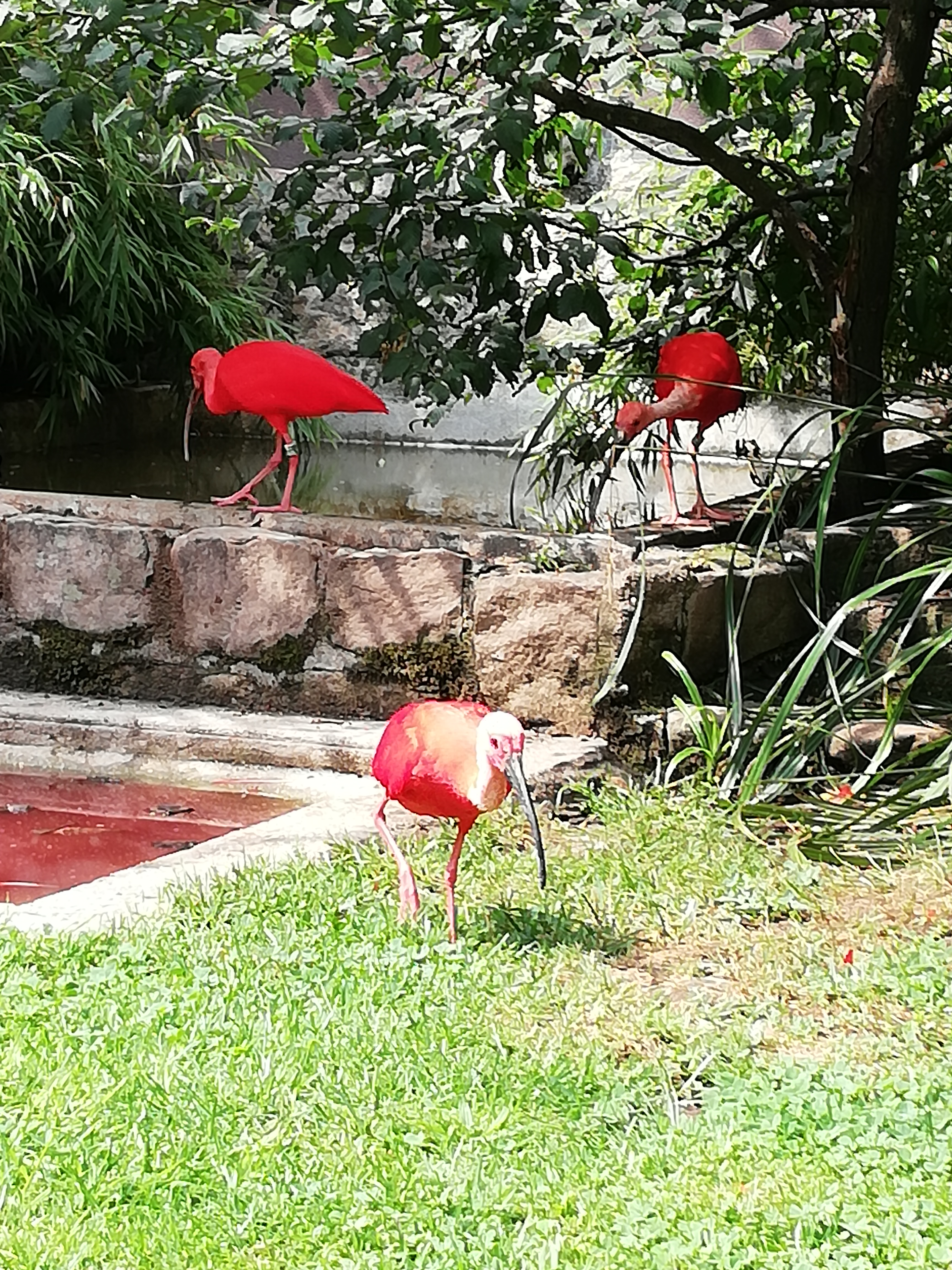 Photo n° 7 de l'avis de Emilie.i fait le 13/08/2020 à 15:47