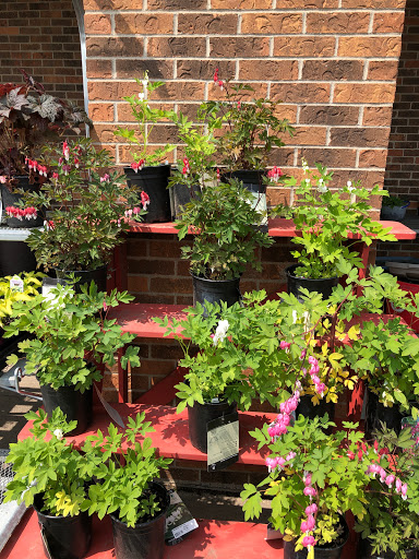 Hardware Store «Hardware Hank», reviews and photos, 1017 Central Ave NW, East Grand Forks, MN 56721, USA