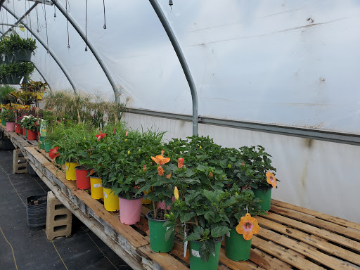 Garden Center «Beachside Gardens & Gifts», reviews and photos, 3725 US-12, Michigan City, IN 46360, USA