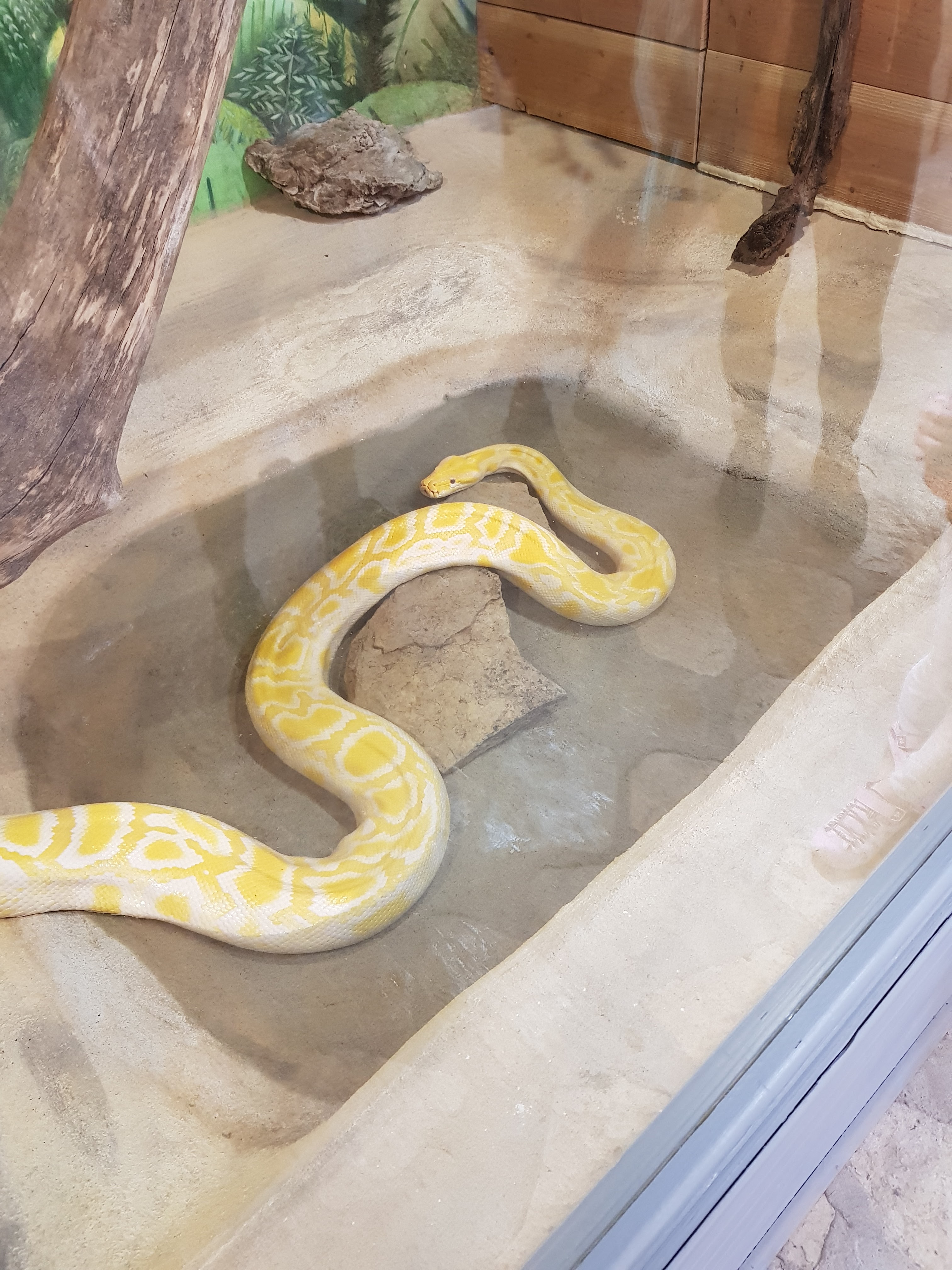 Photo n° 8 de l'avis de Lala.a fait le 24/08/2020 à 19:44