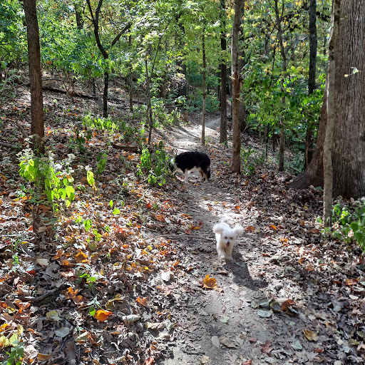Cliff Cave County Park upper lot