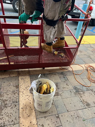 Bee Busters - Orange County Bee Removal Service image