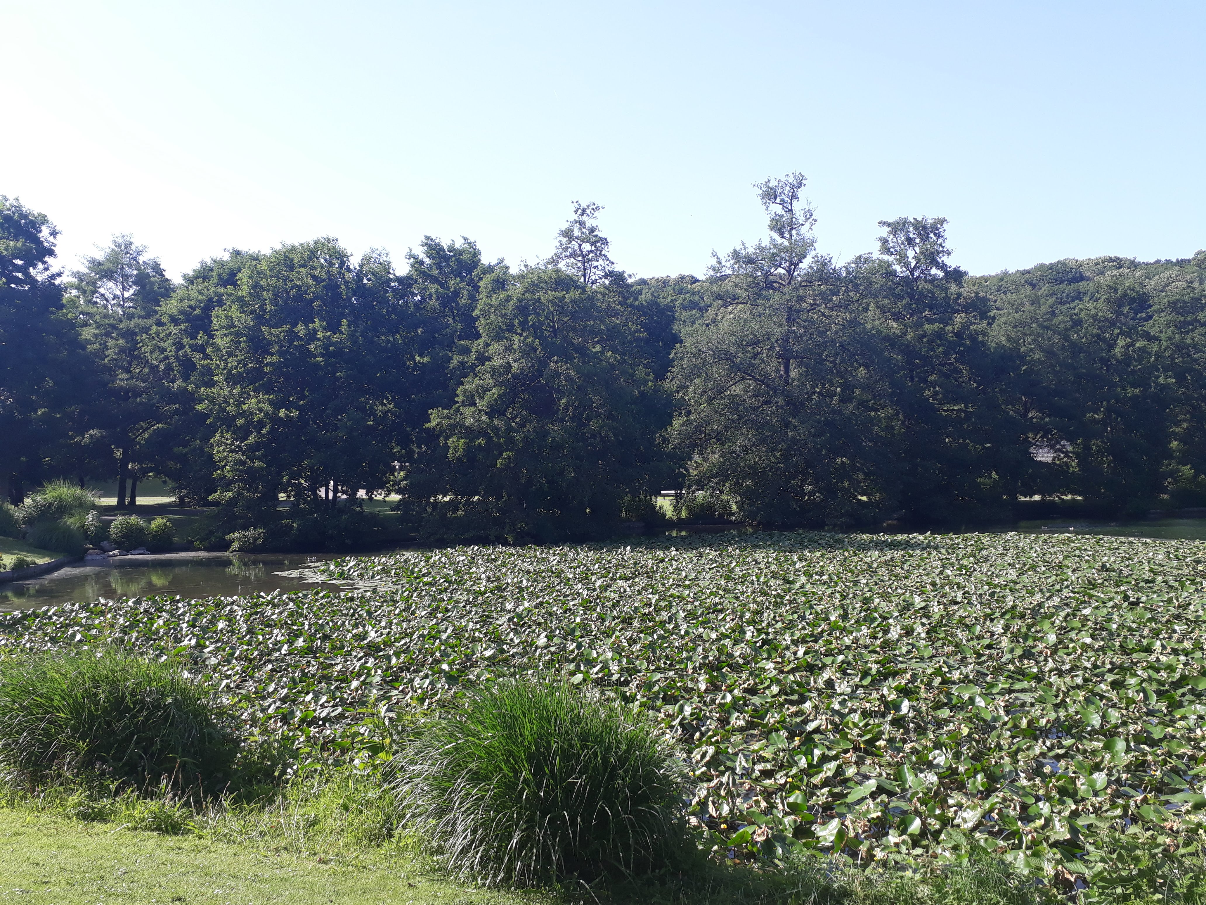 Photo n° 1 de l'avis de Rem.a fait le 29/06/2019 à 17:25
